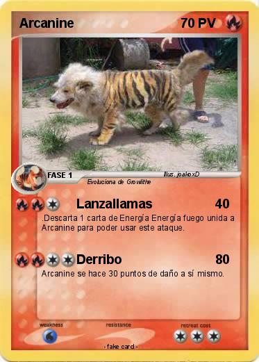 Pokemon Arcanine