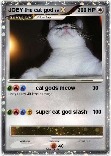 Pokemon JOEY the cat god