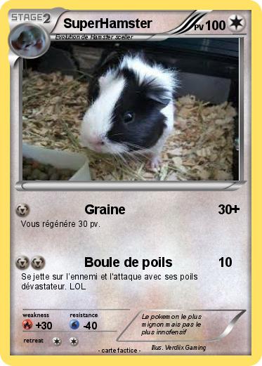Pokemon SuperHamster