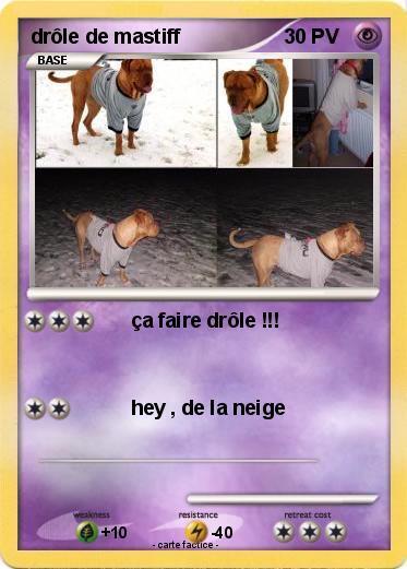 Pokemon drôle de mastiff