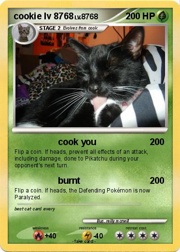 Pokemon cookie lv 8768