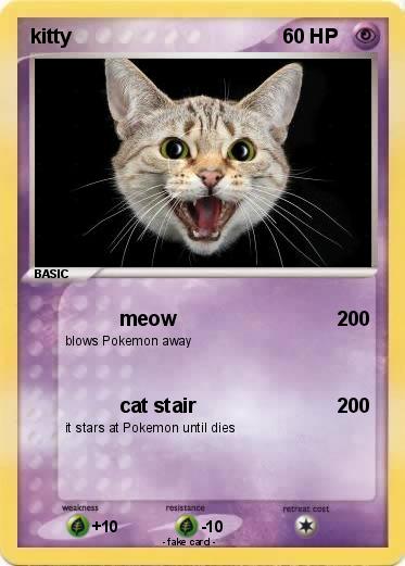 Pokemon kitty