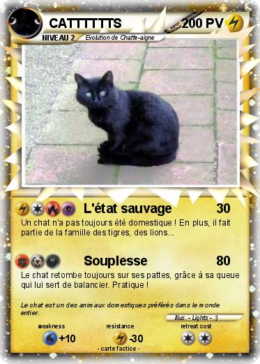 Pokemon CATTTTTTS