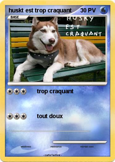 Pokemon huskt est trop craquant
