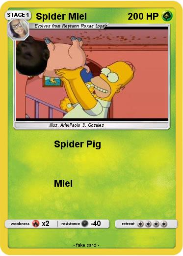 Pokemon Spider Miel
