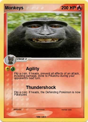 Pokemon Monkeys