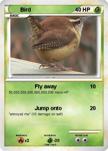 Pokemon Bird