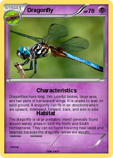 Pokemon Dragonfly