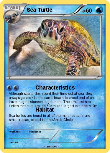 Pokemon Sea Turtle