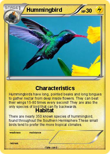 Pokemon Hummingbird