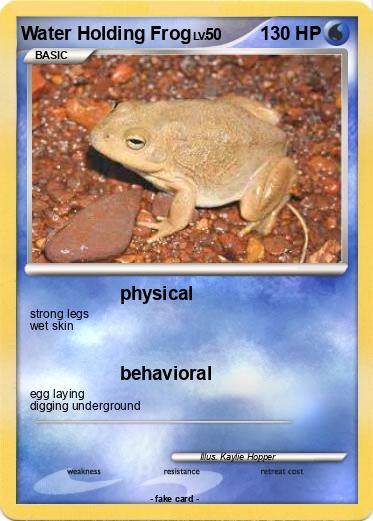 Pokemon Water Holding Frog