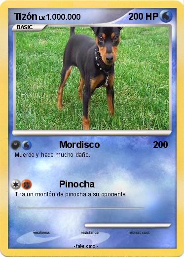 Pokemon Tizón