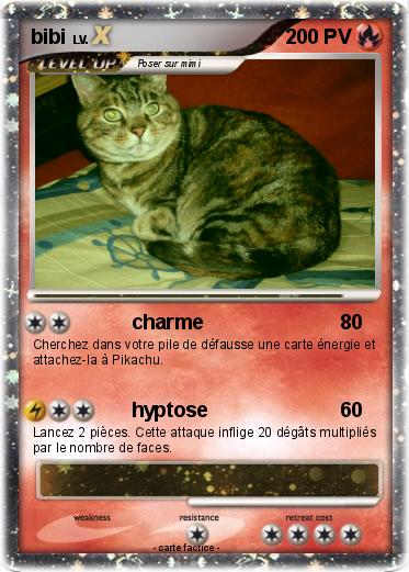 Pokemon bibi