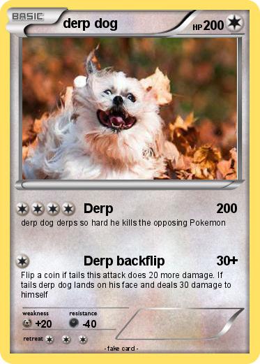 Pokemon derp dog