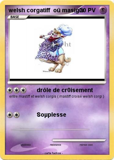 Pokemon welsh corgatiff  oû masigis