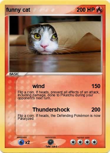 Pokemon funny cat