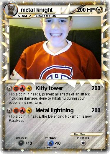 Pokemon metal knight