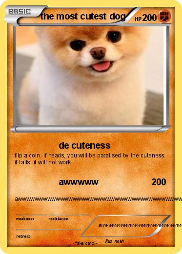 Pokemon the most cutest dog