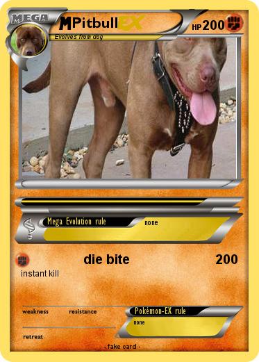 Pokemon Pitbull