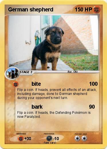 Pokemon German shepherd