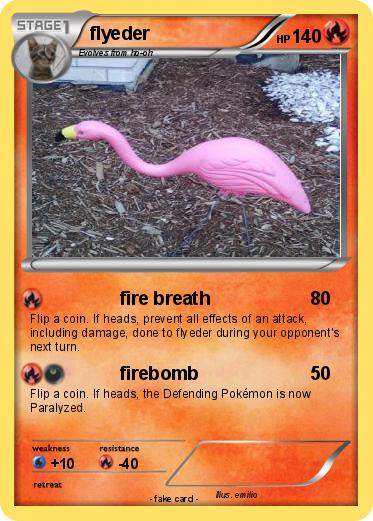 Pokemon flyeder