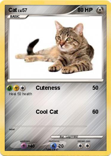Pokemon Cat
