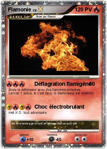 Pokemon Flamonie