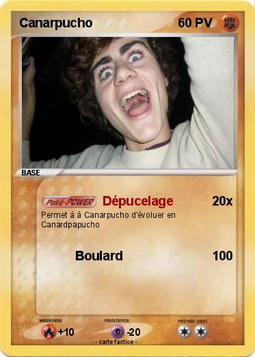 Pokemon Canarpucho