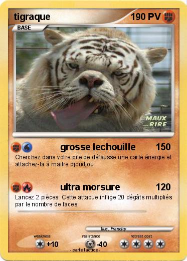 Pokemon tigraque