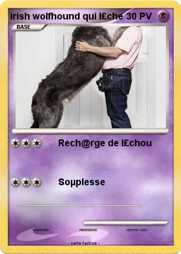 Pokemon irish wolfhound qui l£che
