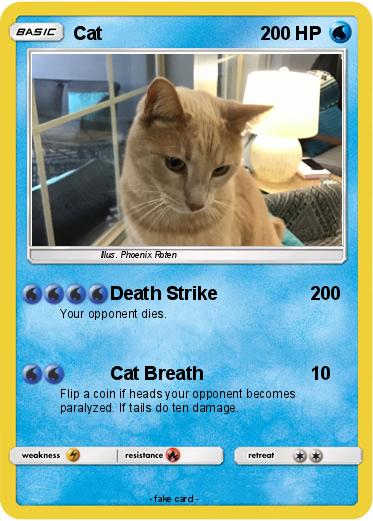 Pokemon Cat