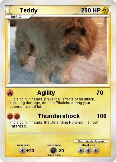 Pokemon Teddy