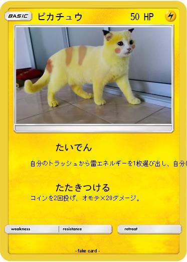 Pokemon ピカチュウ