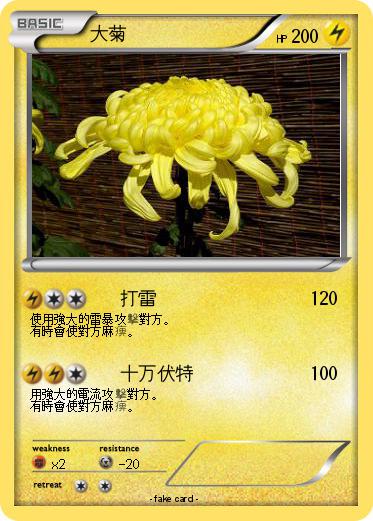 Pokemon 大菊