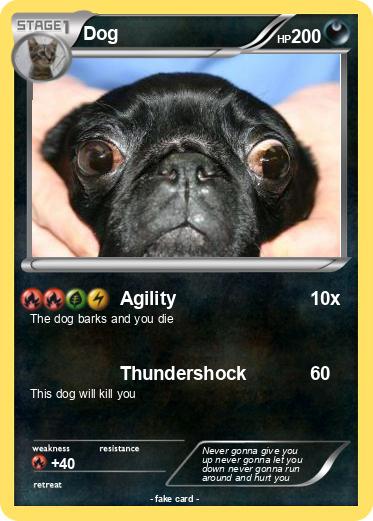 Pokemon Dog