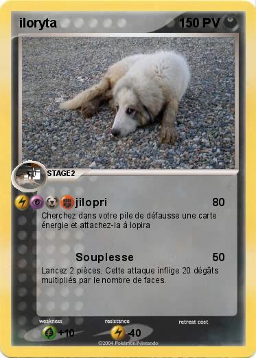 Pokemon iloryta