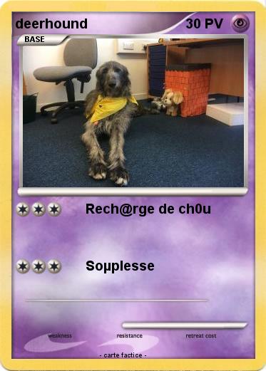 Pokemon deerhound