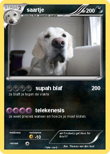 Pokemon saartje