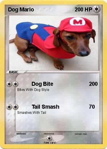 Pokemon Dog Mario