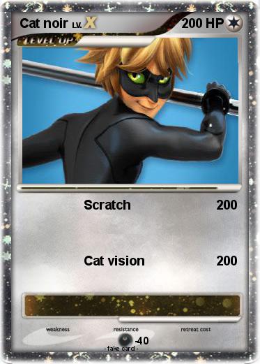 Pokemon Cat noir
