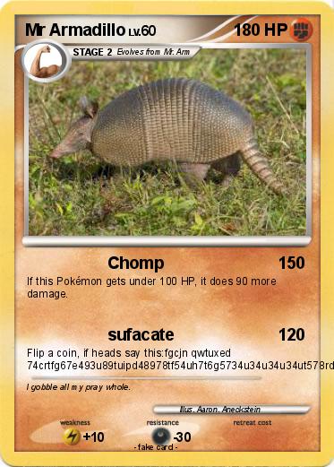Pokemon Mr Armadillo