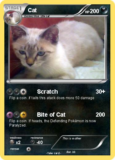 Pokemon Cat