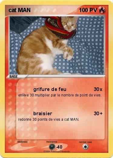 Pokemon cat MAN