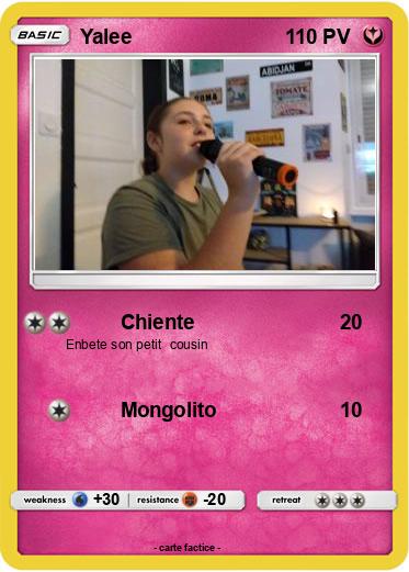 Pokemon Yalee