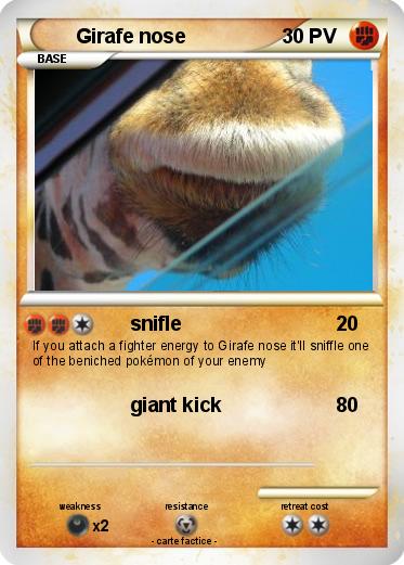 Pokemon Girafe nose