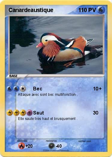 Pokemon Canardeaustique