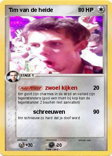 Pokemon Tim van de heide