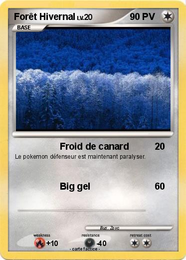 Pokemon Forêt Hivernal