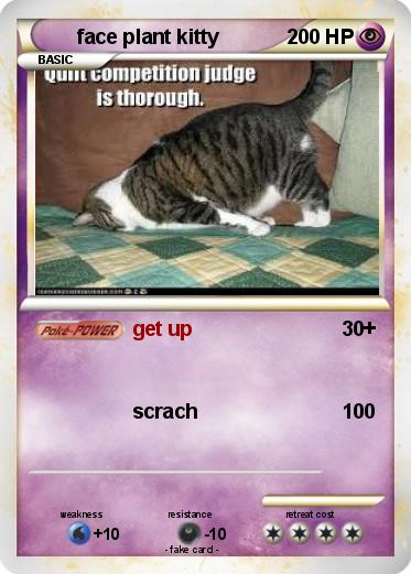 Pokemon face plant kitty