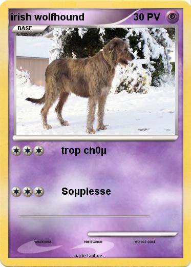 Pokemon irish wolfhound